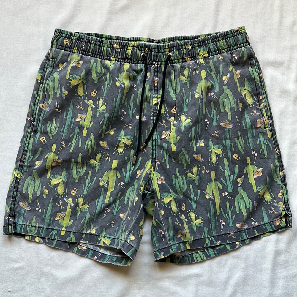 Ingear Swim Cactus and Sombrero Faded Grey Swim Trunks